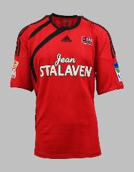 FABRICE COLLEAU EA GUINGAMP SAISON 2010-2011