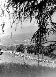 ENSEMBLE DE 6 PHOTOS ORIGINALES DE PRESSE DU TOUR DE FRANCE 1971