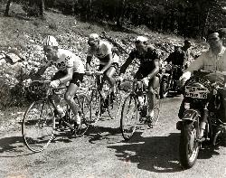 PHOTO ORIGINALE DE PRESSE DE ROSTOLLAN, JANSSEN ET DE ROSSO AU TOUR DE FRANCE 1965