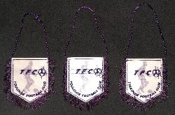 FANIONS DU TOULOUSE FC